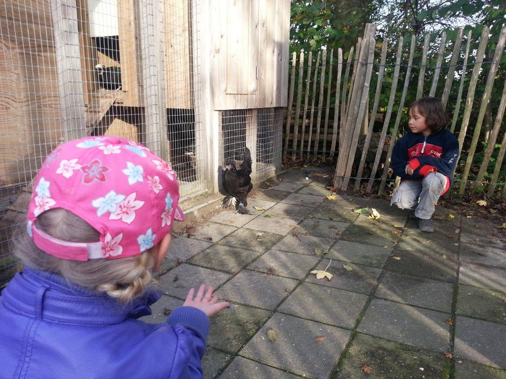 Een gewone woensdagmiddag op bso Nes groep 2c ...