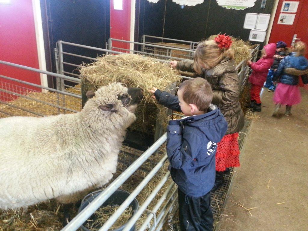 Bso Nes groep 2c op kraamvisite bij de overburen!