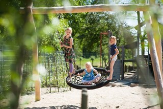 Koet-8 (Small)