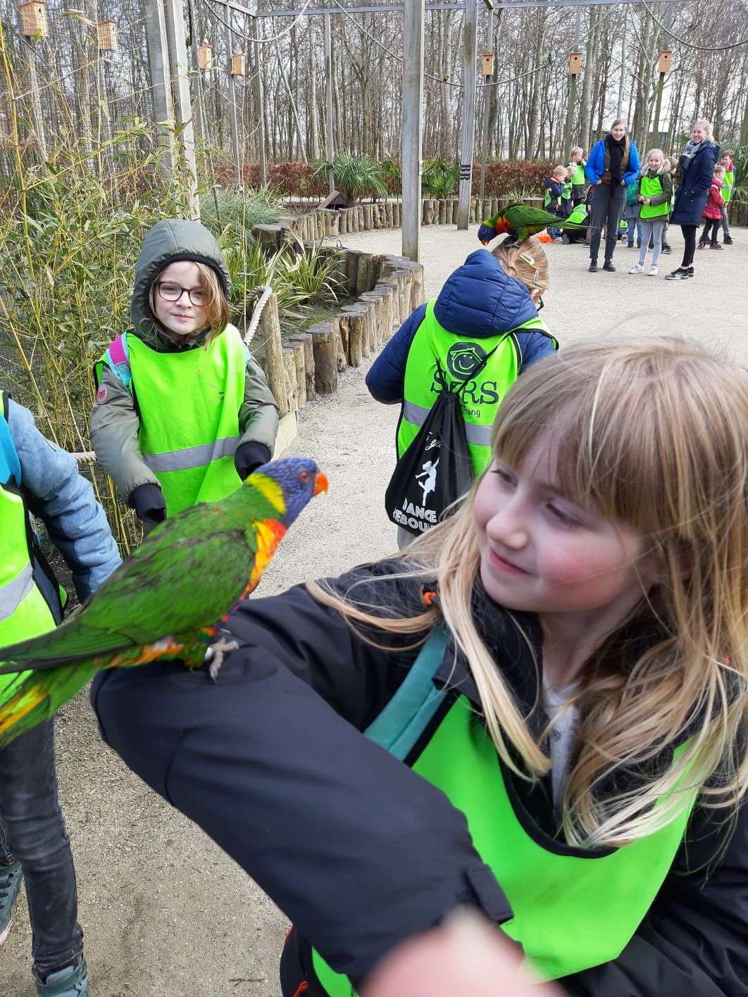 Jaarverslag 2019 online!