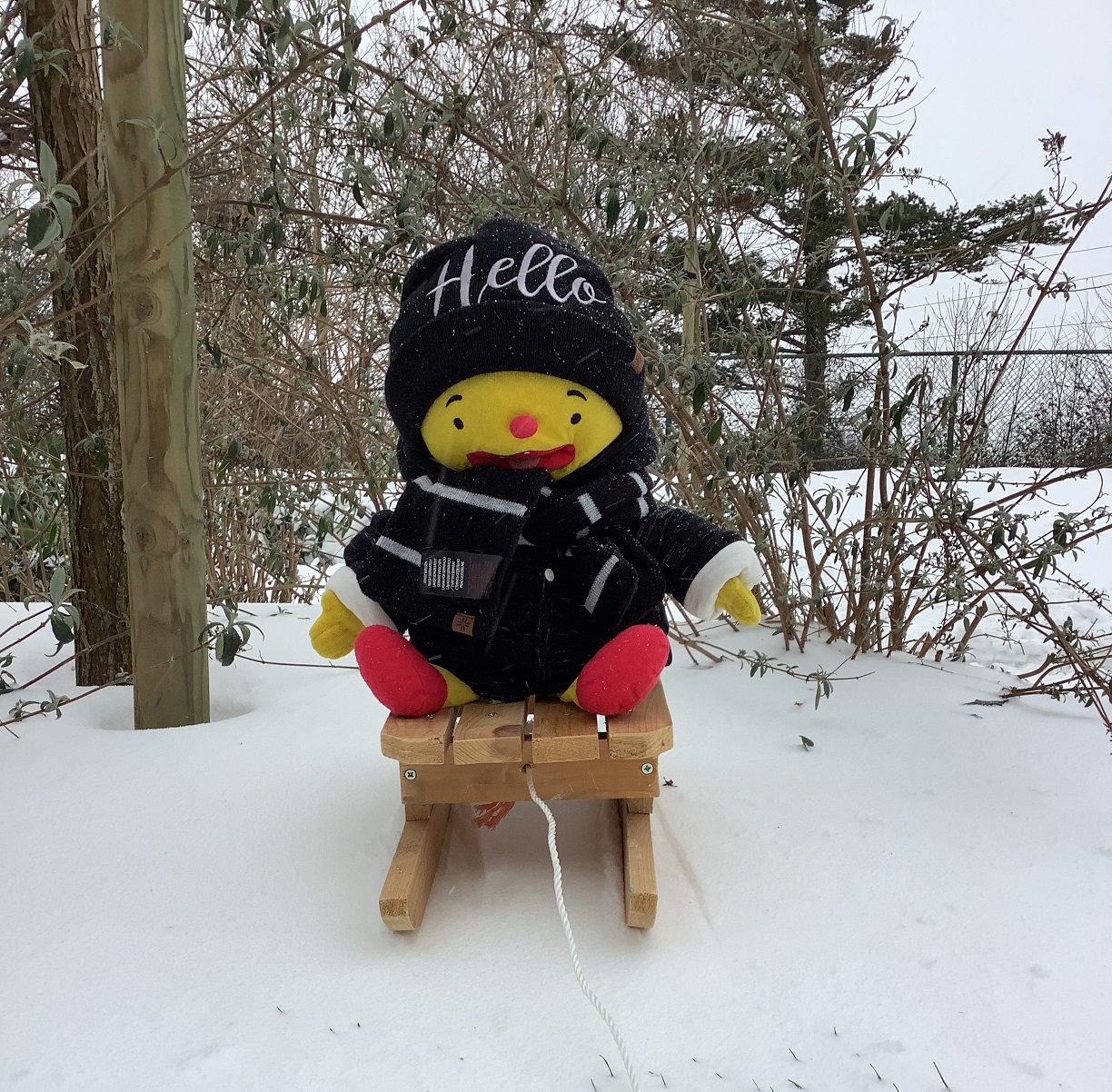 We zijn weer open, hallo allemaal! 