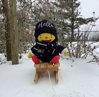 Hallo Allemaal!