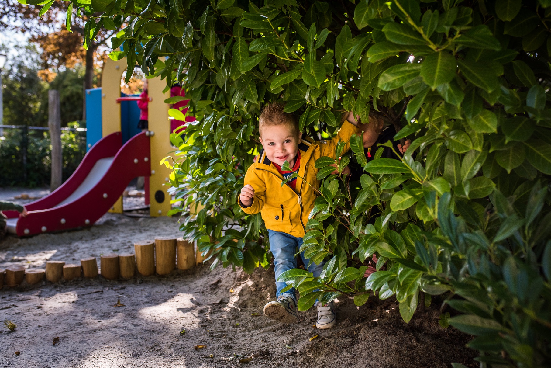  Gevraagd: nieuw lid raad van toezicht!