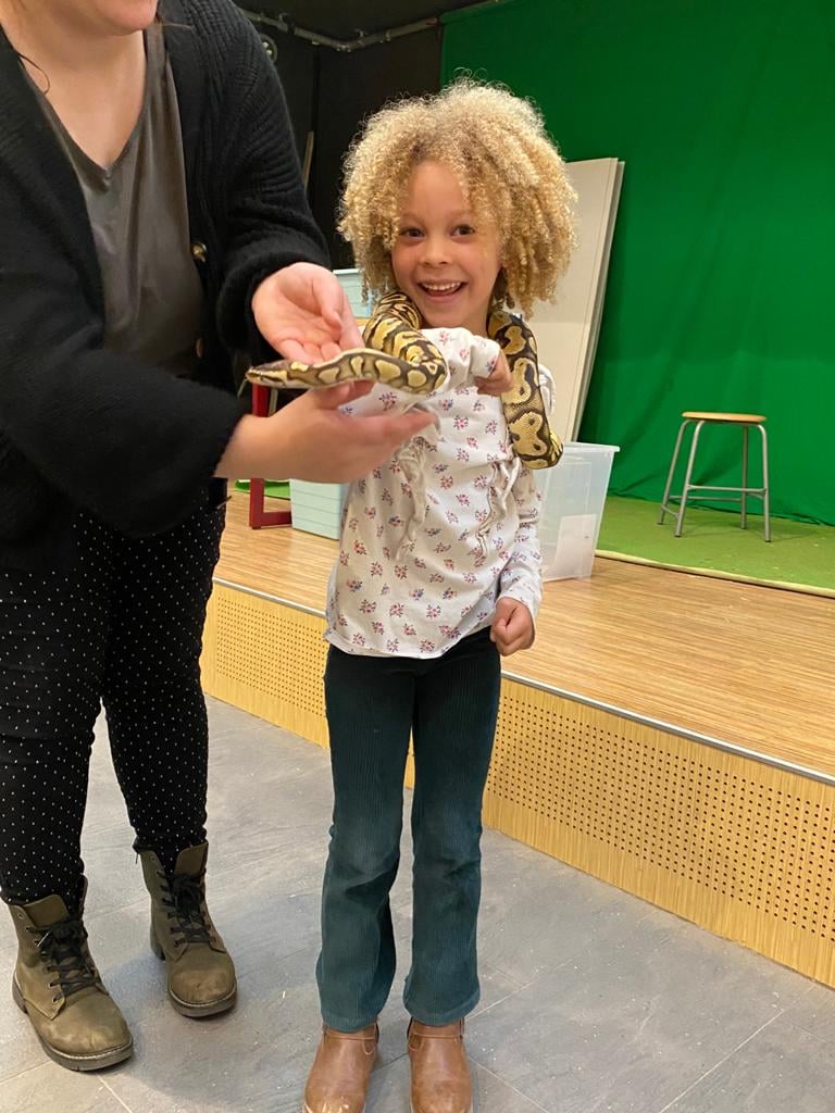 Reptielen op de opvang!